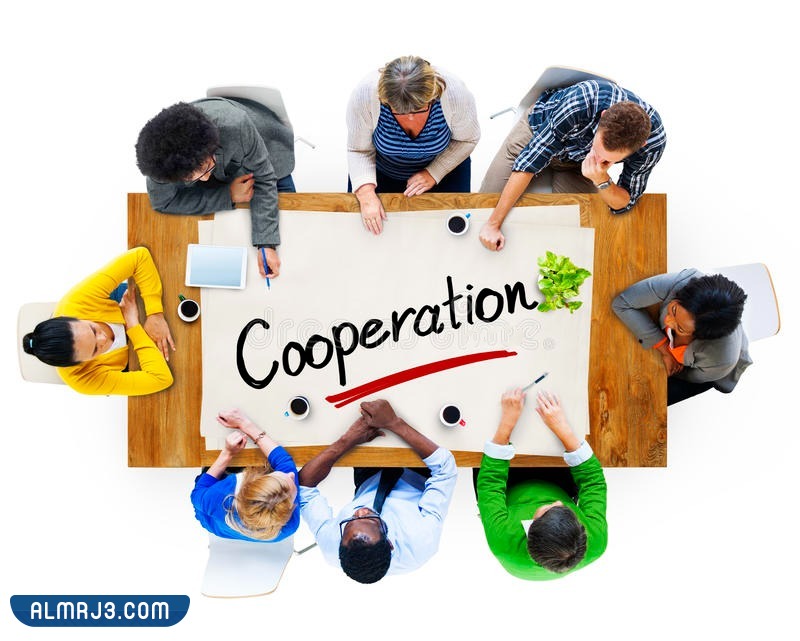 اجمل الصور المعبرة عن التعاون