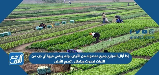 اذا ازال المزارع جميع محصوله من الارض ولم يبقى فيها اي جزء من النبات ليموت ويتحلل تصبح الارض