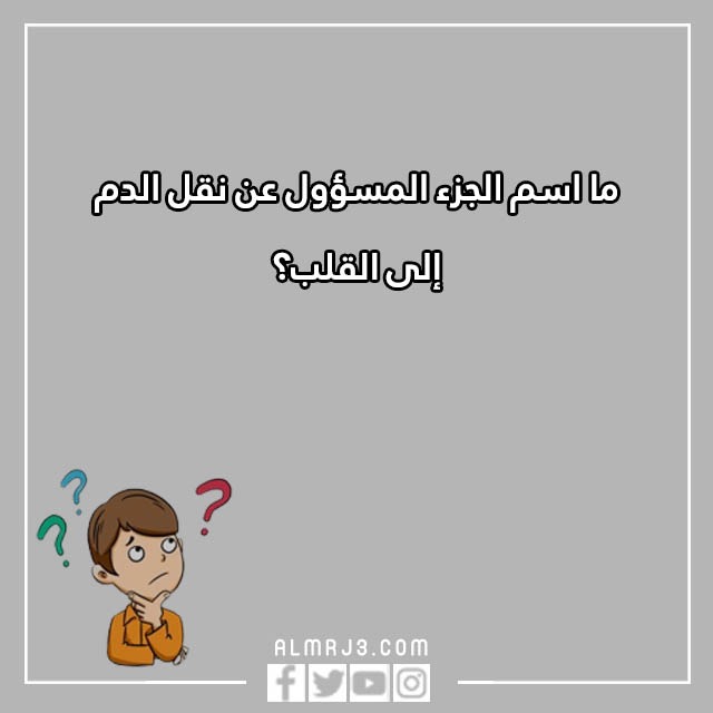 اسئلة للاطفال