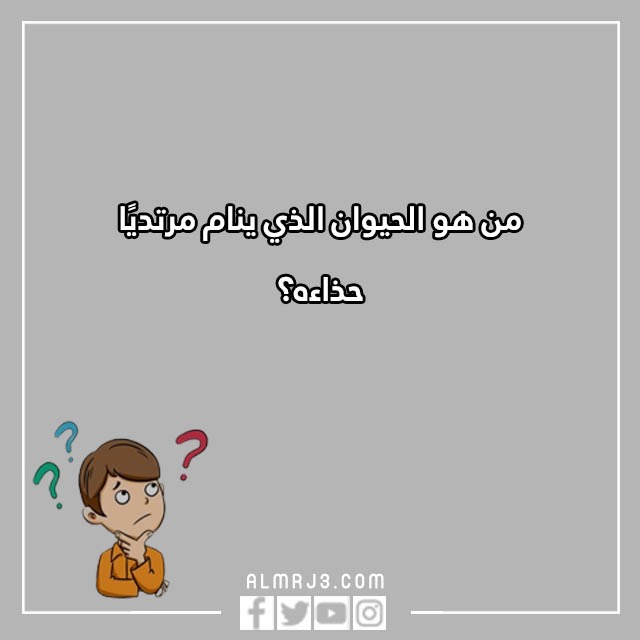 اسئلة للاطفال