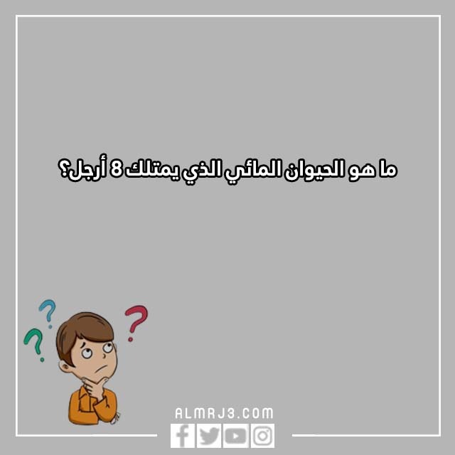 اسئلة للاطفال الصغار