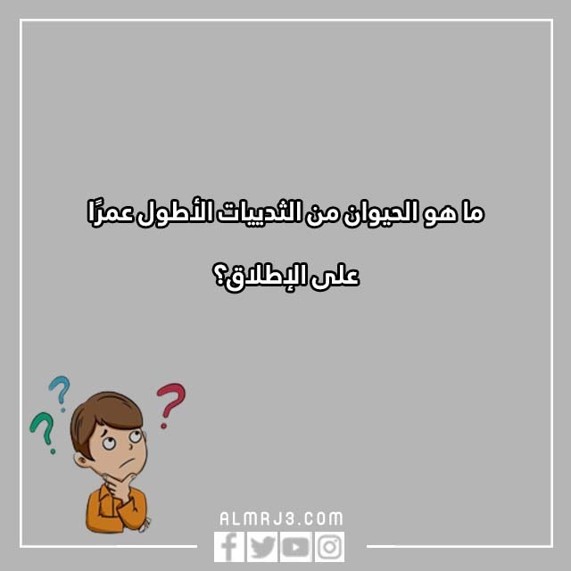 اسئلة للاطفال الصغار