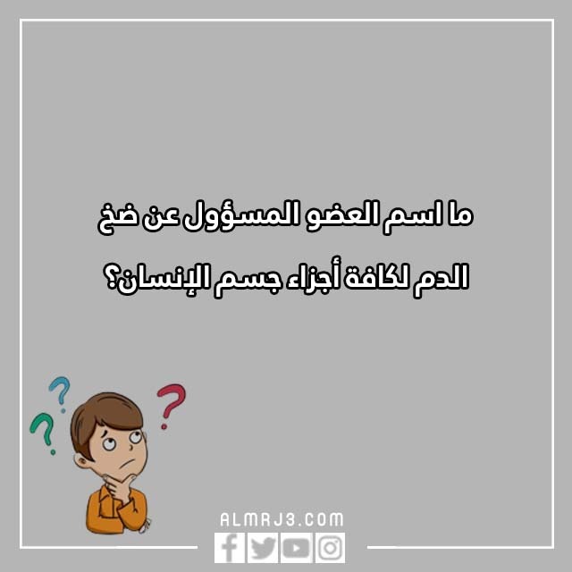 اسئلة للاطفال الصغار