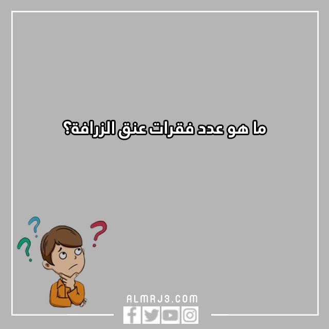 اسئلة للاطفال