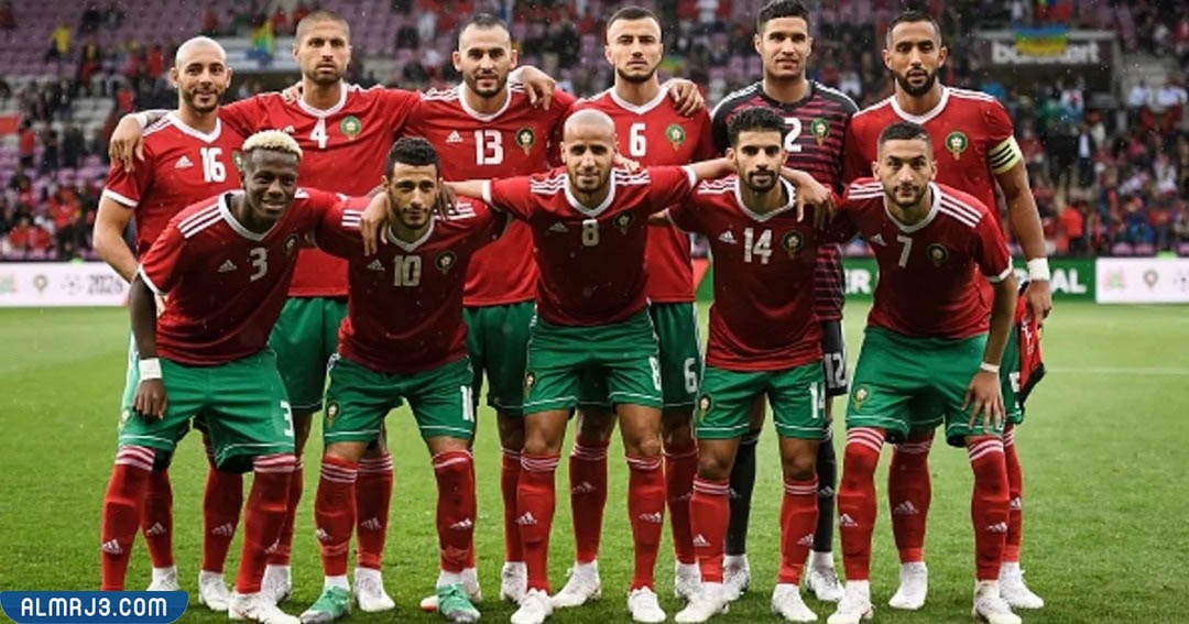 افضل منتخب عربي في كاس العالم