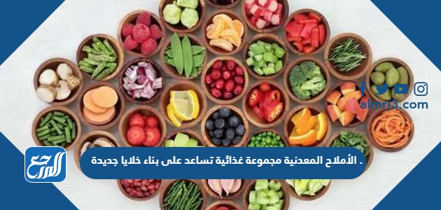 الأملاح المعدنية مجموعة غذائية تساعد على بناء خلايا جديدة .