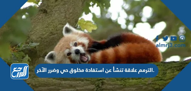 الترمم علاقة تنشأ عن استفادة مخلوق حي وضرر الآخر.