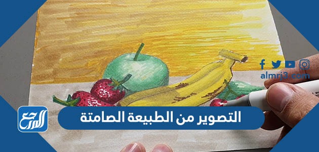 التصوير من الطبيعة الصامتة