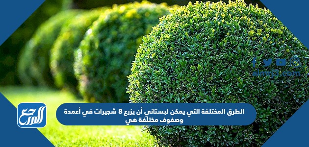 الطرق المختلفة التي يمكن لبستاني أن يزرع 8 شجيرات في أعمدة وصفوف مختلفة هي