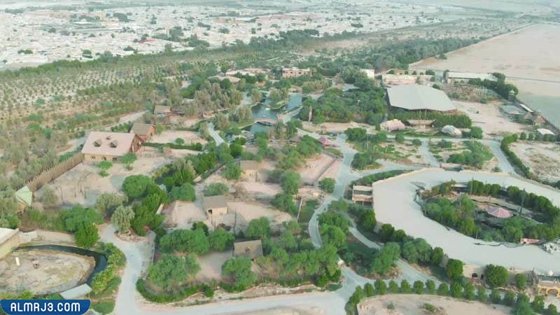 الغابة الصغيرة في الكويت little jungle