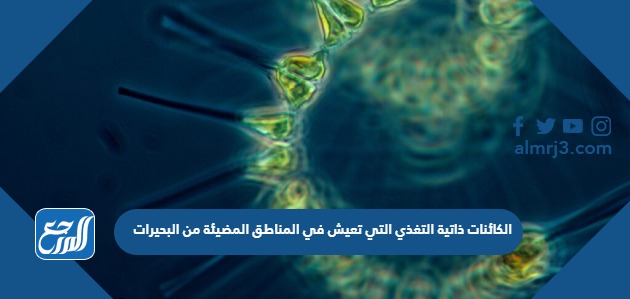 الكائنات ذاتية التغذي التي تعيش في المناطق المضيئة من البحيرات