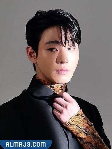 الممثل أن هيوسوب