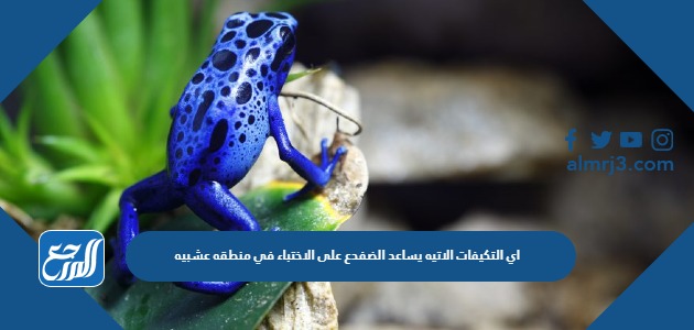 اي التكيفات الاتيه يساعد الضفدع على الاختباء في منطقه عشبيه