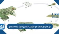 اي المراحل التالية هو الترتيب الصحيح لدورة حياة الضفدع