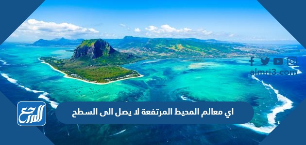 اي معالم المحيط المرتفعة لا يصل الى السطح