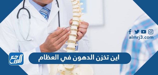 اين تخزن الدهون في العظام