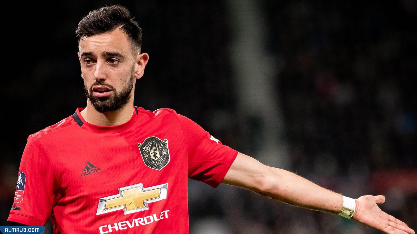 برونو فيرنانديز السيرة الذاتية