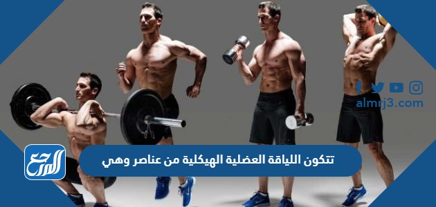 تتكون اللياقة العضلية الهيكلية من عناصر وهي