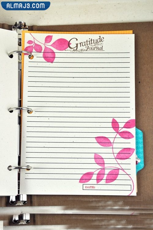 تسطير دفاتر بنات كيوت مميزة جدا