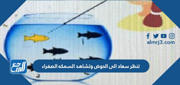 تنظر سعاد الى الحوض وتشاهد السمكه الصفراء