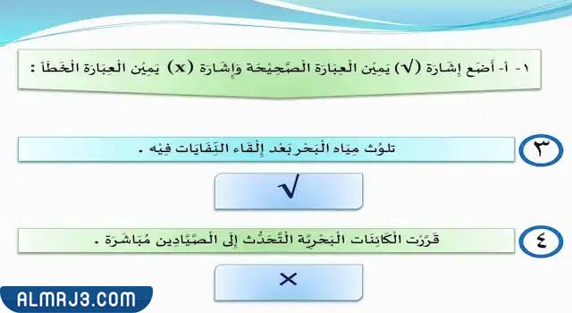 حل تدريبات درس رسالة من أعماق البحر