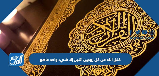 خلق الله من كل زوجين اثنين إلا شيء واحد ماهو