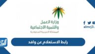 رابط الاستعلام عن وافد mol.gov.sa