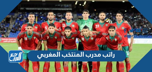 راتب مدرب المنتخب المغربي
