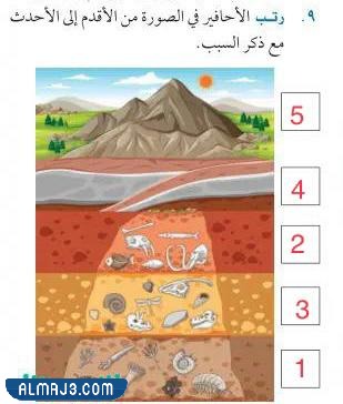رتب الاحافير في الصوره من الاقدم الى الاحدث مع ذكر السبب