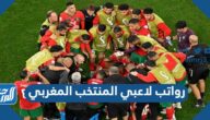 أجور ورواتب لاعبي المنتخب المغربي في كأس العالم قطر 2022 أجور ورواتب لاعبي المنتخب المغربي في كأس العالم قطر 2022