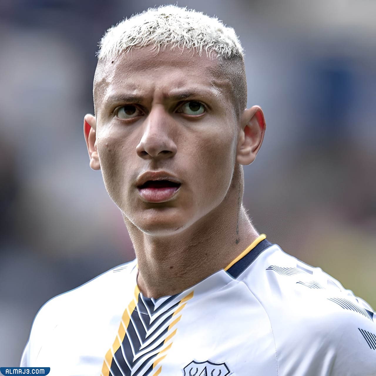 ريتشارليسون