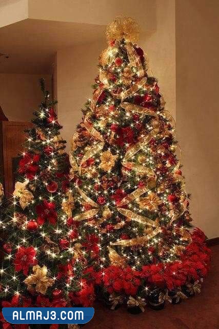 شجرة عيد الميلاد