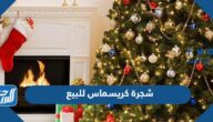 شجرة كريسماس للبيع في السعودية وكم سعرها شجرة كريسماس للبيع في السعودية وكم سعرها