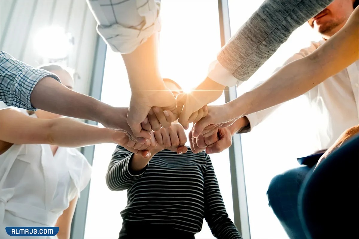 صور عن التعاون