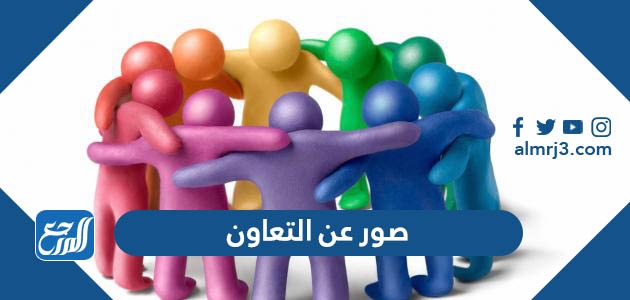 صور عن التعاون