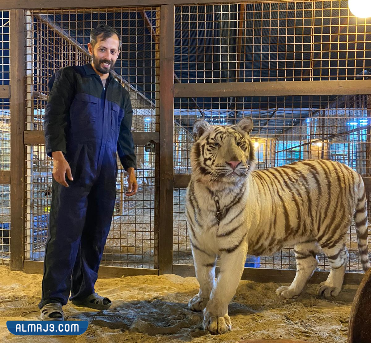 صور عيسى الخياط