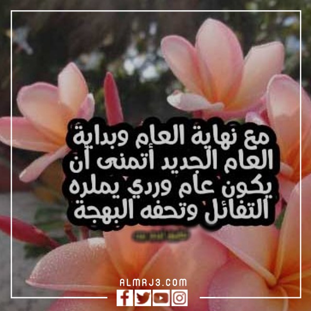 صور قبل انتهاء العام شكرا لتلك الصديقة 2023