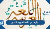 عبارات عن اللغة العربية بالصور
