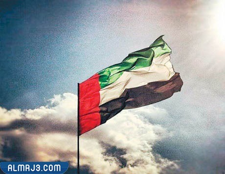 صور علم الإمارات مرفوع بفخر لليوم الوطني ال51