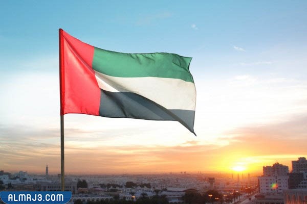 صور علم الإمارات مرفوع بفخر لليوم الوطني ال51