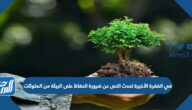 في الفقرة الأخيرة تحدث النص عن ضرورة الحفاظ على البيئة من الملوثات