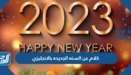 كلام عن السنه الجديده 2025 بالانجليزي