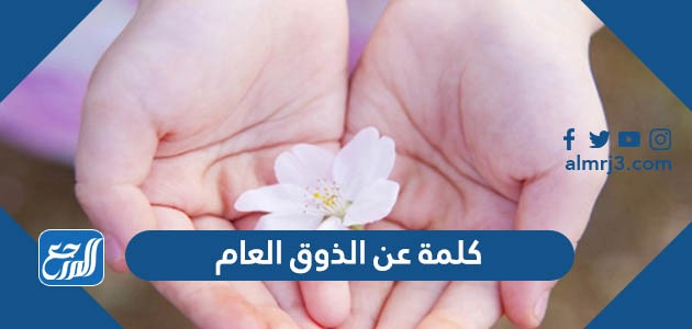 كلمة عن الذوق العام