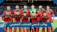 كم رواتب لاعبي المنتخب المغربي شهريا كم رواتب لاعبي المنتخب المغربي شهريا