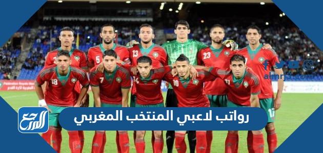 كم رواتب لاعبي المنتخب المغربي شهريا