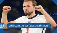 كم عدد اهداف هاري كين في كاس العالم