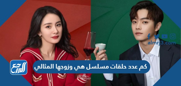 كم عدد حلقات مسلسل هي وزوجها المثالي