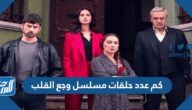 كم عدد حلقات مسلسل وجع القلب