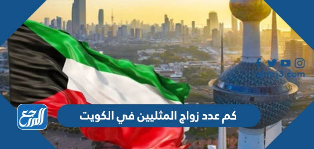كم عدد زواج المثليين في الكويت - موقع المرجع