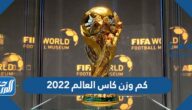كم وزن كاس العالم ٢٠٢٢